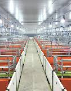 금보, 돈사 관리 시스템