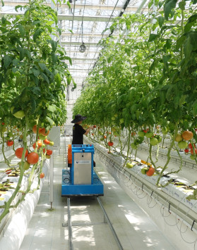 전주 농진청, 품질예측시스템 / AM…